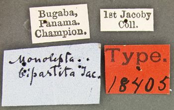 Media type: image; Entomology 18405   Aspect: labels